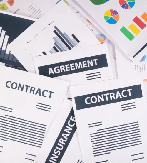 Official Documents Translation